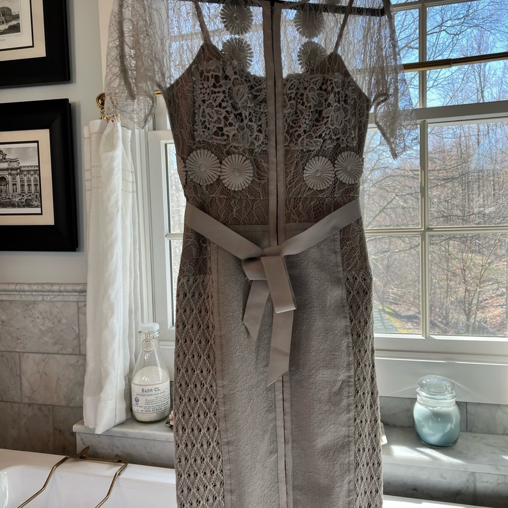 Byron Lars Carissima Sheath Dress Lace Column Size 4p in powder grey